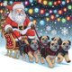 thumbnail image 1 of Kit Con Forma Especial 5D DIY Papá Noel 30x30cm, 1 of 9