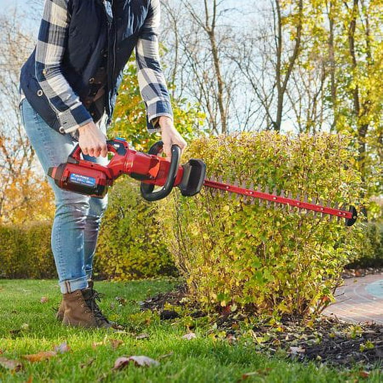 Black + Decker 60V Max Cordless Hedge Trimmer review