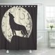 thumbnail image 1 of ABPHQTO Conjunto de cortinas de ducha de baño a prueba de agua con silueta completa de lobo a la luz de la luna con dibujos animados de luna de Halloween 165x180 cm ABPHQTO PKNMT66x72Shower-10364, 1 of 2