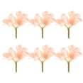 thumbnail image 1 of Uxcell 6-Pack Flores de Plumeria Artificiales, Cabezas de Flores de Seda Falsas para Manualidades DIY/Ropa/Boda/Decoración de Fiesta [Champagne, 2.36"/ 6cm], 1 of 6