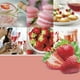 thumbnail image 2 of Wax Melts Yankee Candle White Strawberry Bellini 18 unidades, 2 of 3