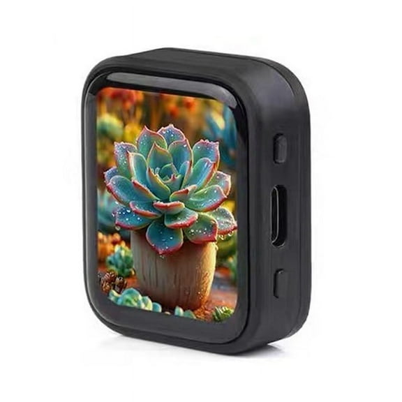 ESP32 S3 Development Board 1.8 Inch AMOLED Display Touch Screen QMI8658/MIC/Audio LVGL AI Voice Programmable Watch,1 * 1.8-inch AMOLED Touch Display Development Board(without lithium battery version)