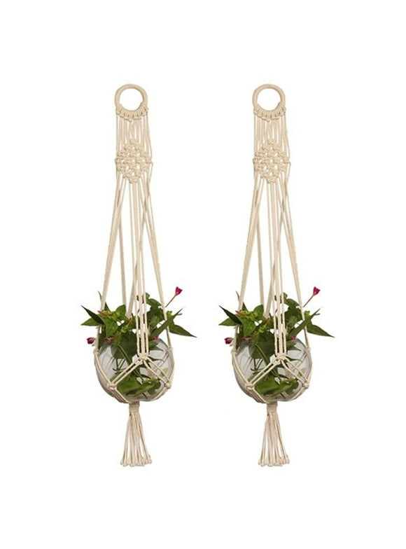 Plant Hangers in Indoor Planters
