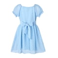 thumbnail image 4 of HILEELANG Girls Light Blue Swiss Dot Puff Sleeve Polyester Dress 12-13Y Big Girls, 4 of 12