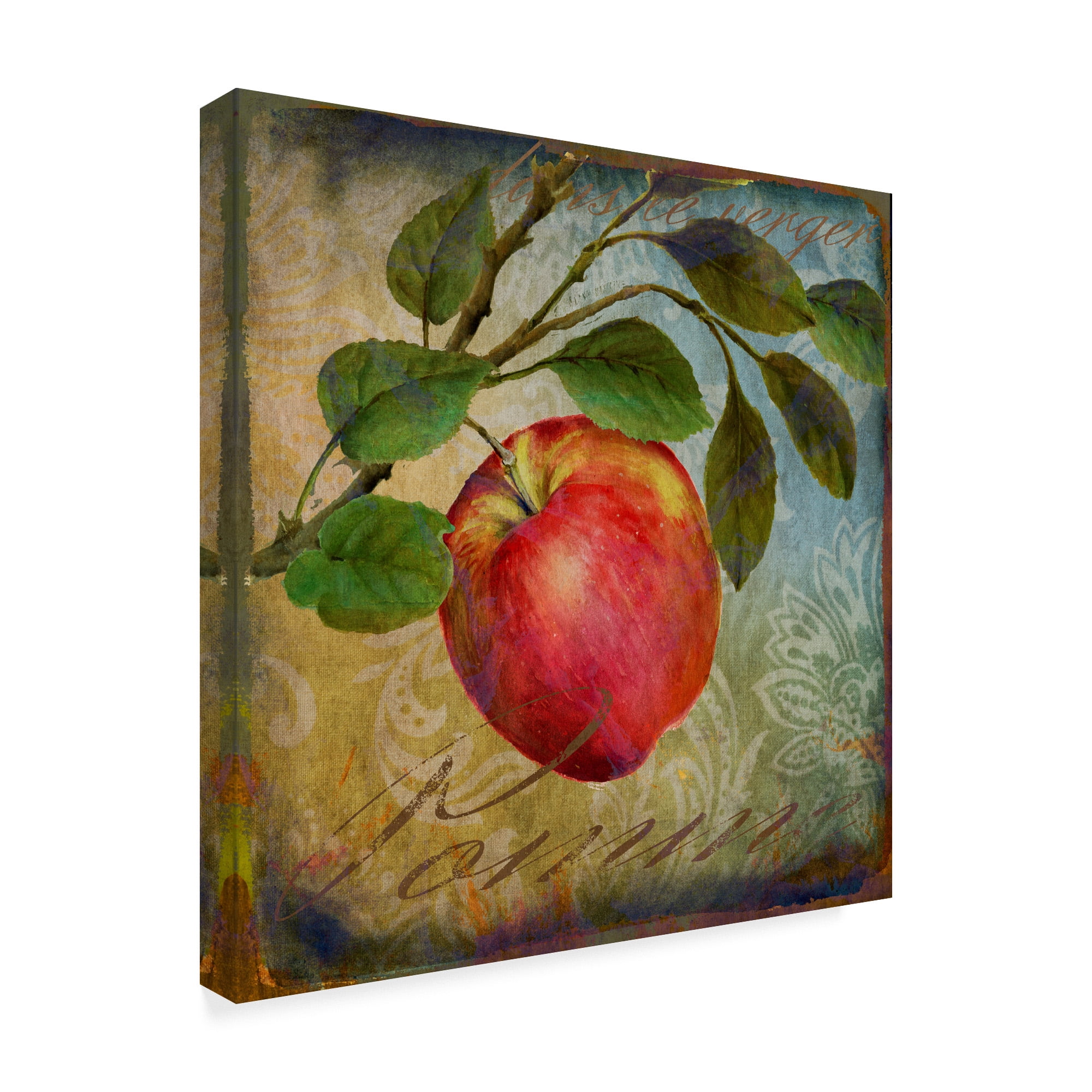 Trademark Fine Art 'From The Grove Apple' Canvas Art by Art Licensing Studio