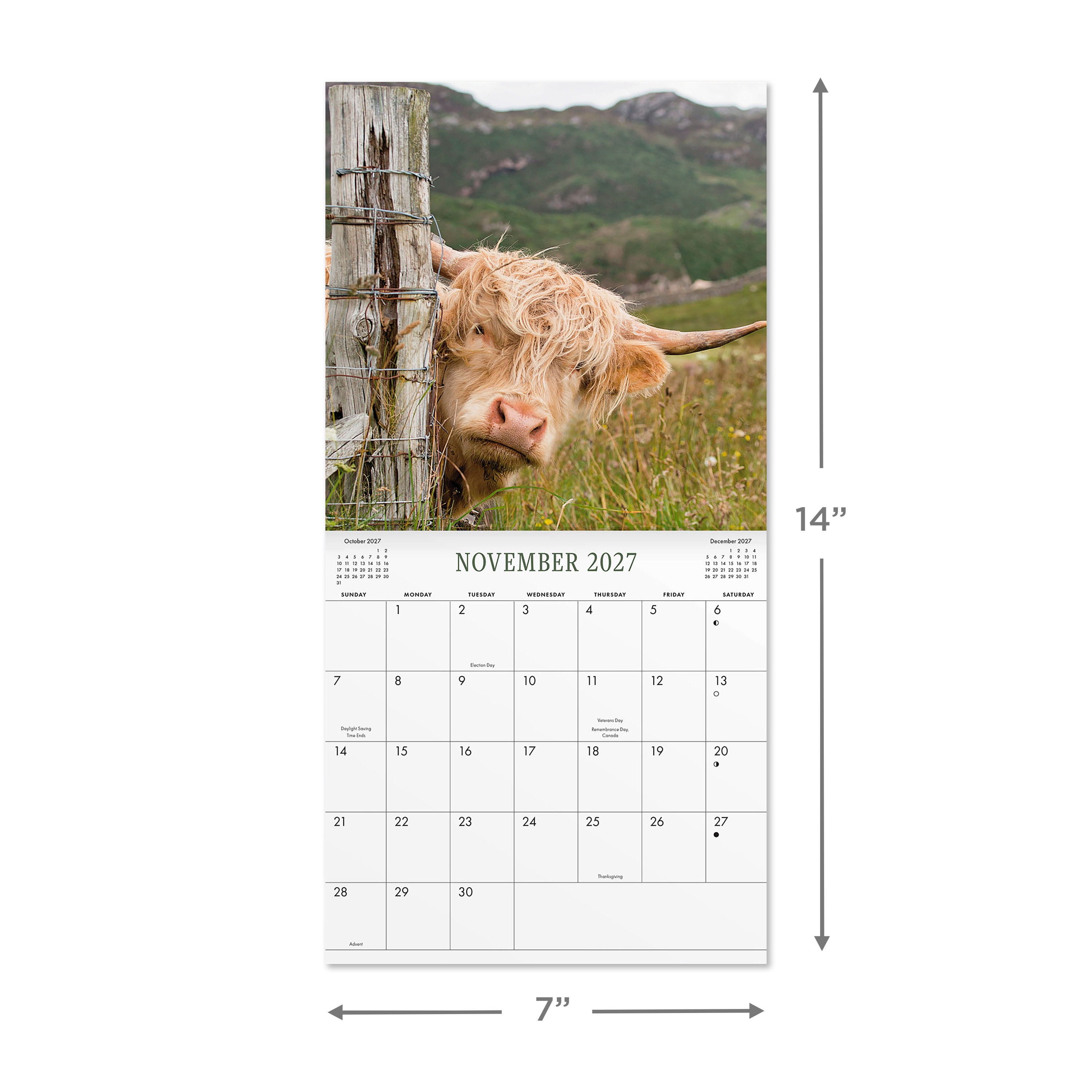 2027 Highland Cows Mini Hanging Wall Calendar 7x7 January-December Gridded