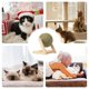 thumbnail image 5 of Catnip Juguetes para Gatos Multifuncional Interactivo Catnip Juguete Bola de Piso Juguete Versátil Catnip Piso Juguetes Agradable, 5 of 7