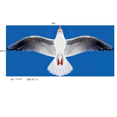 thumbnail image 1 of Cometa de caña de pescar dinámica, cometa de plástico, juguetes para niños, puesto al aire libre, mini cometa, 1 of 3