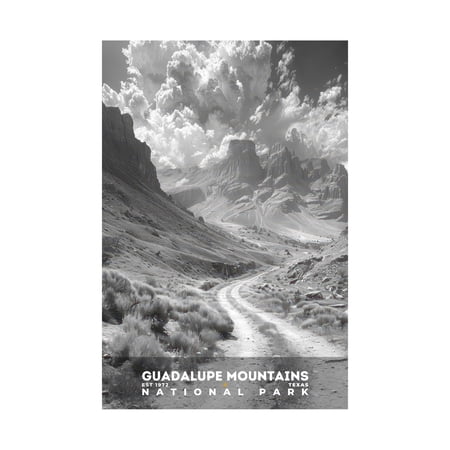 ELNEIT - Guadalupe Mountains National Park Poster, Unframed Matte Paper, S15