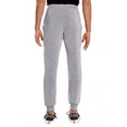 thumbnail image 3 of Southpole Men's Fleece Pant, 3 of 3
