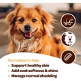 thumbnail image 6 of Ready Pet Go! Skin and Coat Supplement for Dogs with Omega 3, Krill Oil, and Vitamin E, 60-piece, 6 of 10