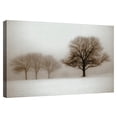 thumbnail image 4 of Masterpiece Art Gallery Winter Sun Sepia Tree By Ilona Wellmann Canvas Art Print 24" x 36", 4 of 4