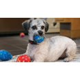 thumbnail image 2 of KONG Occasions Birthday Balls, 2 of 3