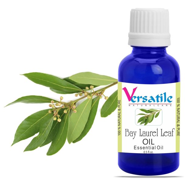 Bay Laurel Leaf Essential Oils 100 Pure Natural Aromatherapy Oils 3ML