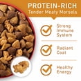 thumbnail image 2 of Purina ONE Chicken and Rice Formula Dry Dog Food - 16.5 lb. Bag (Pack of 4), 2 of 8