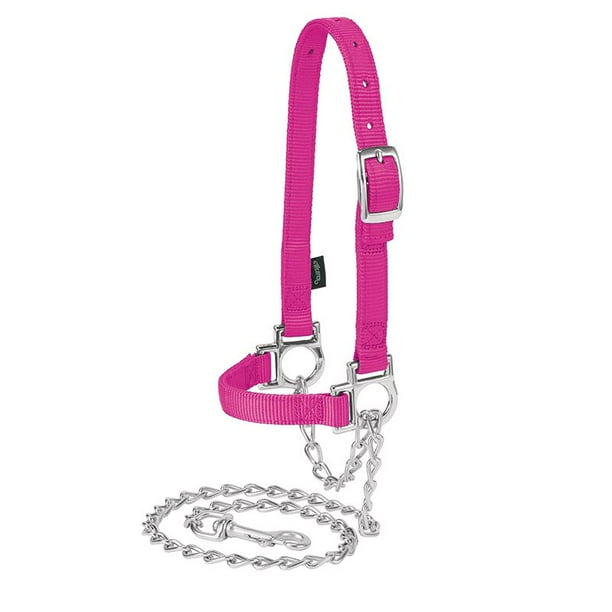 Weaver Leather Nylon Adjustable Sheep Halter with Chain Lead Pink