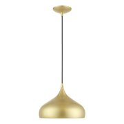 41172-33 Livex Lighting Amador - 1 Light Pendant In Transitional Style-15 Inches Tall and 11.75 Inches Wide -Traditional Installation