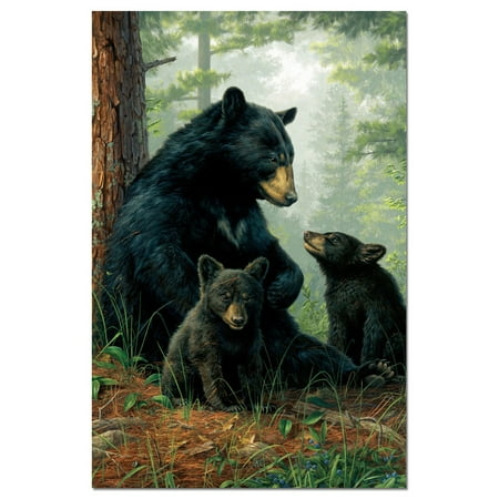 - Tree-Free Greetings Bear Family EcoNotes Boxed Blank Note Cards-FS66519