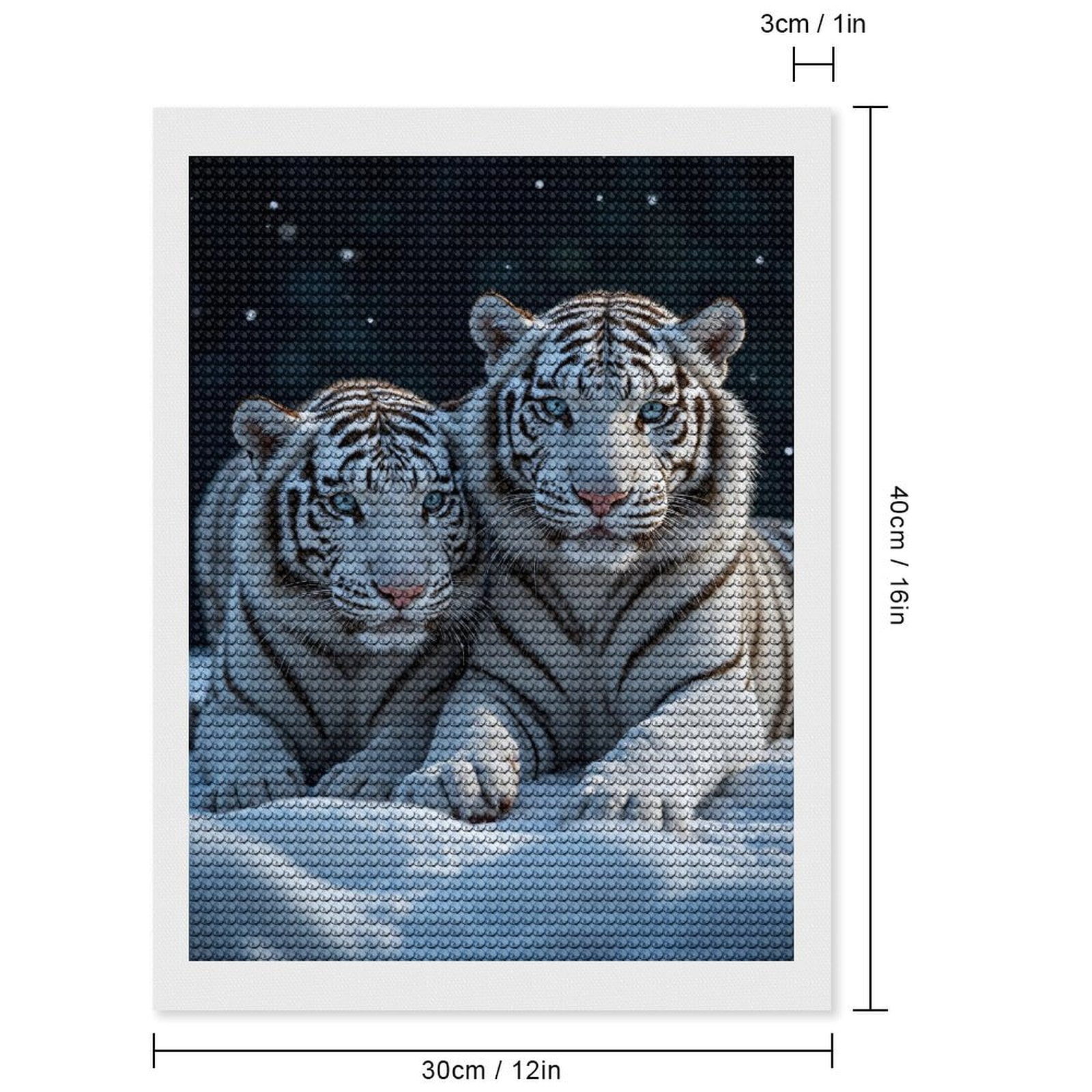 Diamond Art Kits for Adults, White Tigers Snowy Duo Serenity 5D Diamond Painting Kits for Adults Beginners, DIY Full Drill Diamond Painting, Gem Art and Crafts 12x16