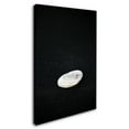 thumbnail image 2 of Trademark Fine Art 'Pebbles on Black Sand' Canvas Art by Philippe Sainte-Laudy, 2 of 3