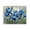 Blue Iris Floral Bloom, variant on Stupell Industries French Country Drawn Blue Iris Flowers Canvas Art, 20 x 16, by Franklyn Gregory
