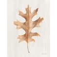 thumbnail image 3 of Nai, Danhui 19x24 Black Modern Framed Museum Art Print Titled - Fallen Leaf I Texture, 3 of 5