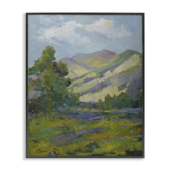 Stupell Industries Spring Day Mountain Landscape & Nature Painting Black Framed Art Print Wall Art, 16 x 20