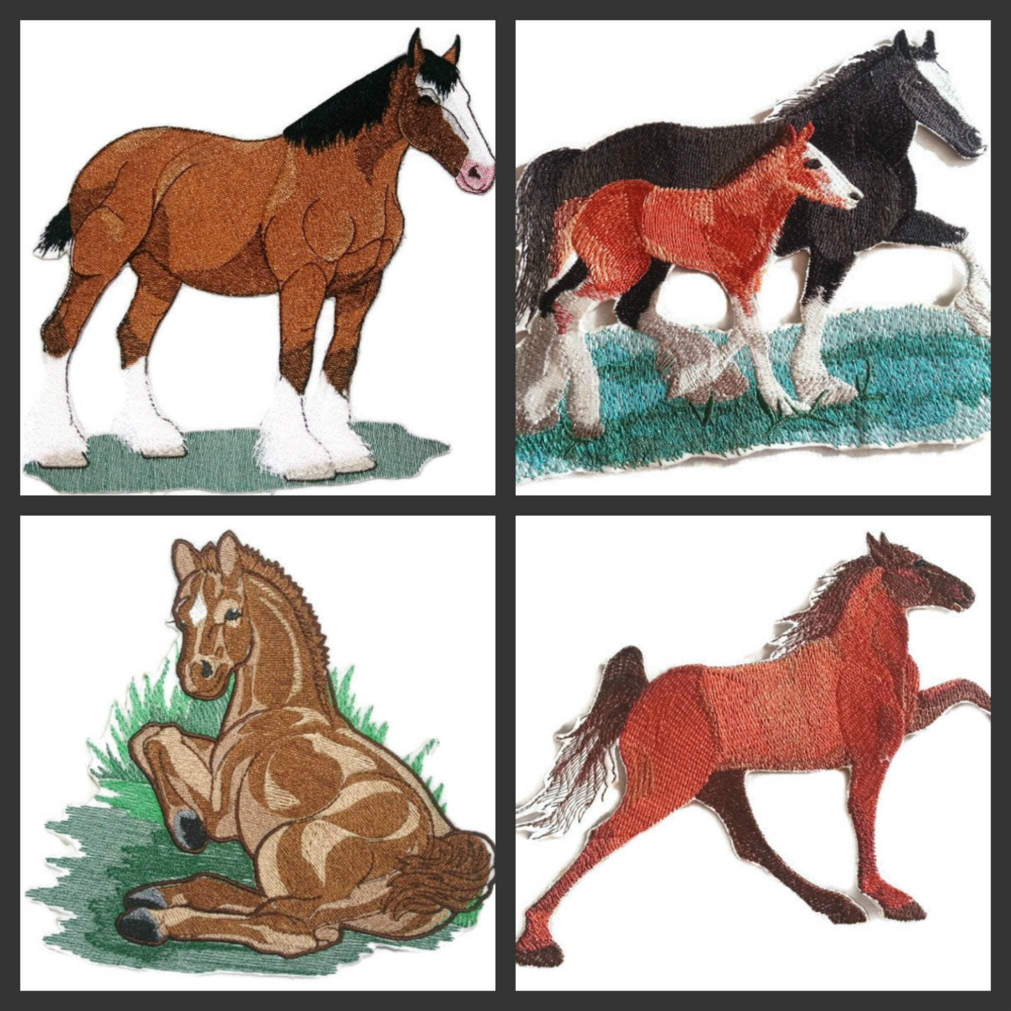 BeyondVision Custom and Unique Spirit of Stallions [Tennessee Horse ] [Custom and Unique] Embroidered Iron on/Sew patch [6.23" 4.82"]