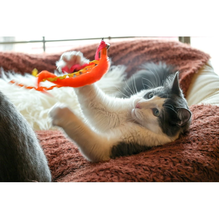 Vibrant Life Worm Teaser Wand Cat Toy