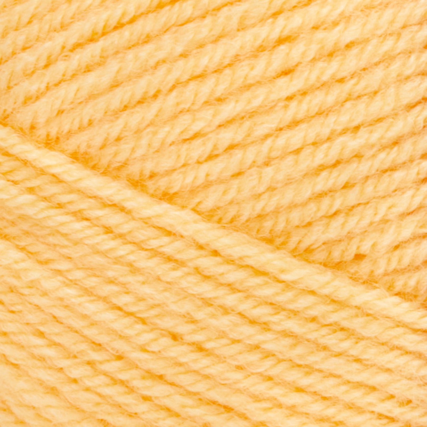 1142|04 Daffodil