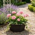 thumbnail image 5 of Shallow Succulent Plant Pots, Shallow Planter with Tray and Drainage Holes, Decorative Plastic Planters for Indoor and Outdoor Gardening, Succulent pots for Succulents Cactus and Herbs, 5 of 6