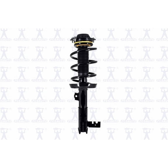 Suspension Strut and Coil Spring Assembly