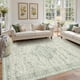 thumbnail image 1 of Alfombra Area Rugxara, lavable, de 5 x 7 pies, estilo bohemio vintage para sala de estar, 1 of 9