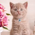 thumbnail image 4 of Pet Rhinestone Diamante Collar Necklace - Crystal Bling for Small Dogs & Cats, 4 of 8