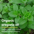 thumbnail image 5 of Natural Factors, Certified Organic Oil of Oregano, Herbal Supplement 2 Fl Oz, 5 of 6