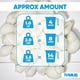thumbnail image 3 of Set de vasos Shell Home Mix de conchas marinas blancas de 1 kg hasta 7,6 cm, 3 of 8