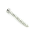 thumbnail image 4 of Sea-Doo New OEM Phillips Tapping Screw 2005-2012 Jetboats 250000087x20, 4 of 4