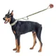 thumbnail image 1 of Correa Tactica Perro Militar Doble Bungee K9 Entrenamiento, 1 of 6