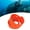 Orange, variant on YAHHU Adjustable Silicone Diving Weight Belt with Stainless Steel Quick Release Buckle for Scuba Diving Spearfishing and Freediving Water Sports Equipment, 51.18 inches / 1.3 meters, White