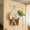 White, variant on Spring Berry Wildflower Door Hanger Basket Wreath, Wildflowers Door Hanging Basket, Front Door Beautiful Artificial Spring and Summer Welcome Sign, Home Porch Farmhouse Decor