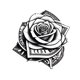 thumbnail image 2 of Chic and Symbolic T - Shirt: Make a Statement with a Floral - Currency Design, 2 of 7