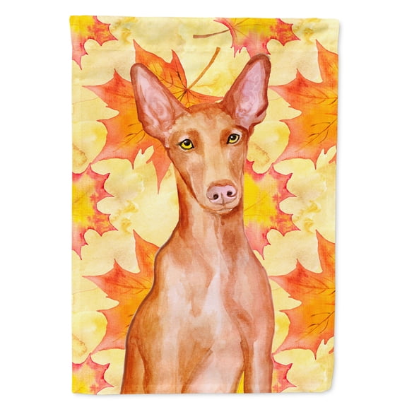 Carolines Treasures BB9976GF Pharaoh Hound Fall Flag Garden Size  Small multicolor