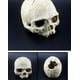 thumbnail image 3 of Decoración del Acuario Resina Cabeza Artificial Esqueleto Decoración - Acuario Otaru Acuario Cueva Decorativa, 3 of 5