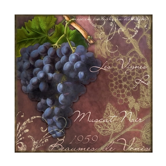 Cora Niele 'Blue Vines Black Muscat' Canvas Art