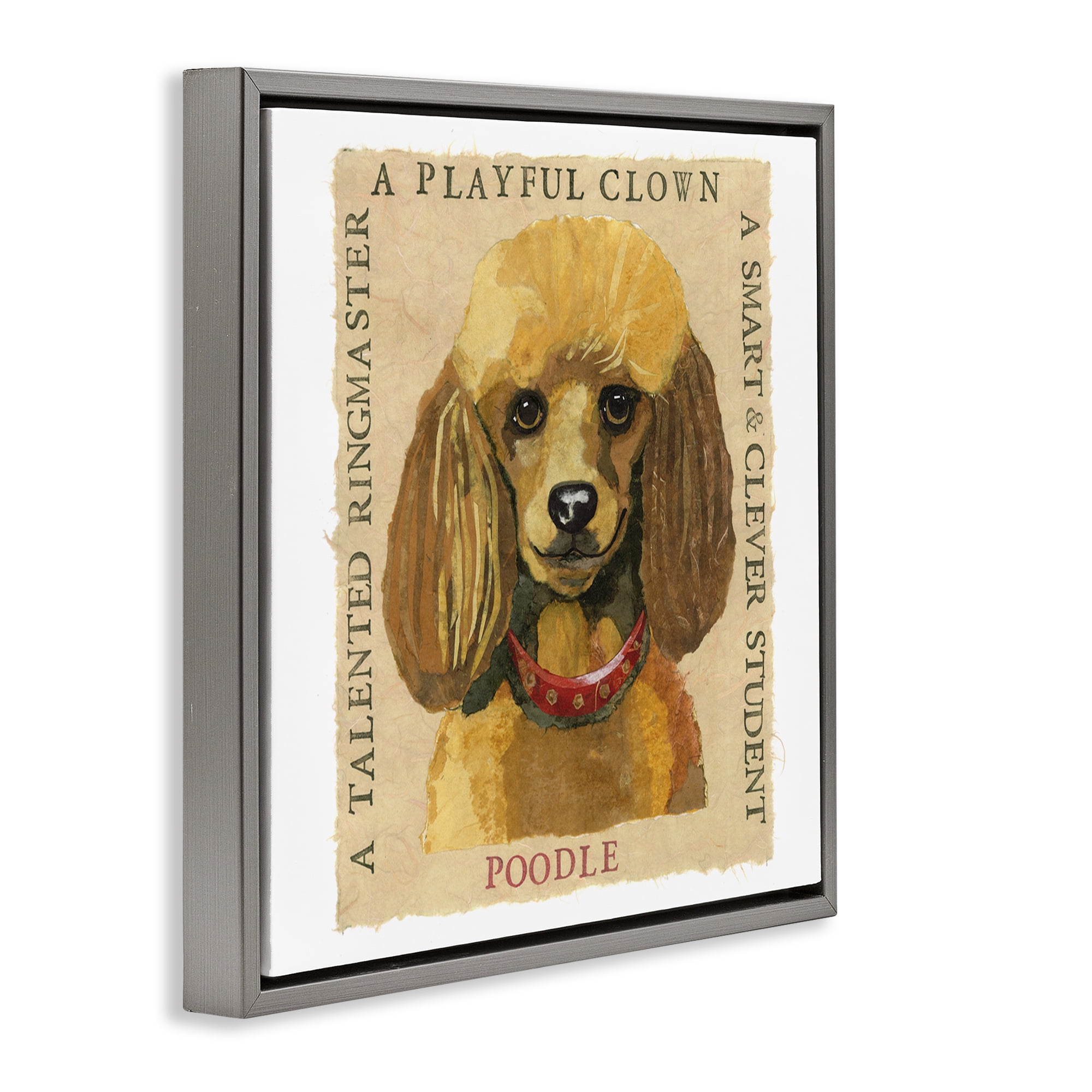Stupell Industries Fun Poodle Pet Phrases Animals Painting Gray Floater Framed Canvas Art Print Wall Art, 18 x 18