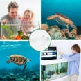 thumbnail image 3 of BEADCEST 1Pc Transparent Turtle Basking Platform with Ladder for Aquarium Turtle Tank Pet Supply, 3 of 6