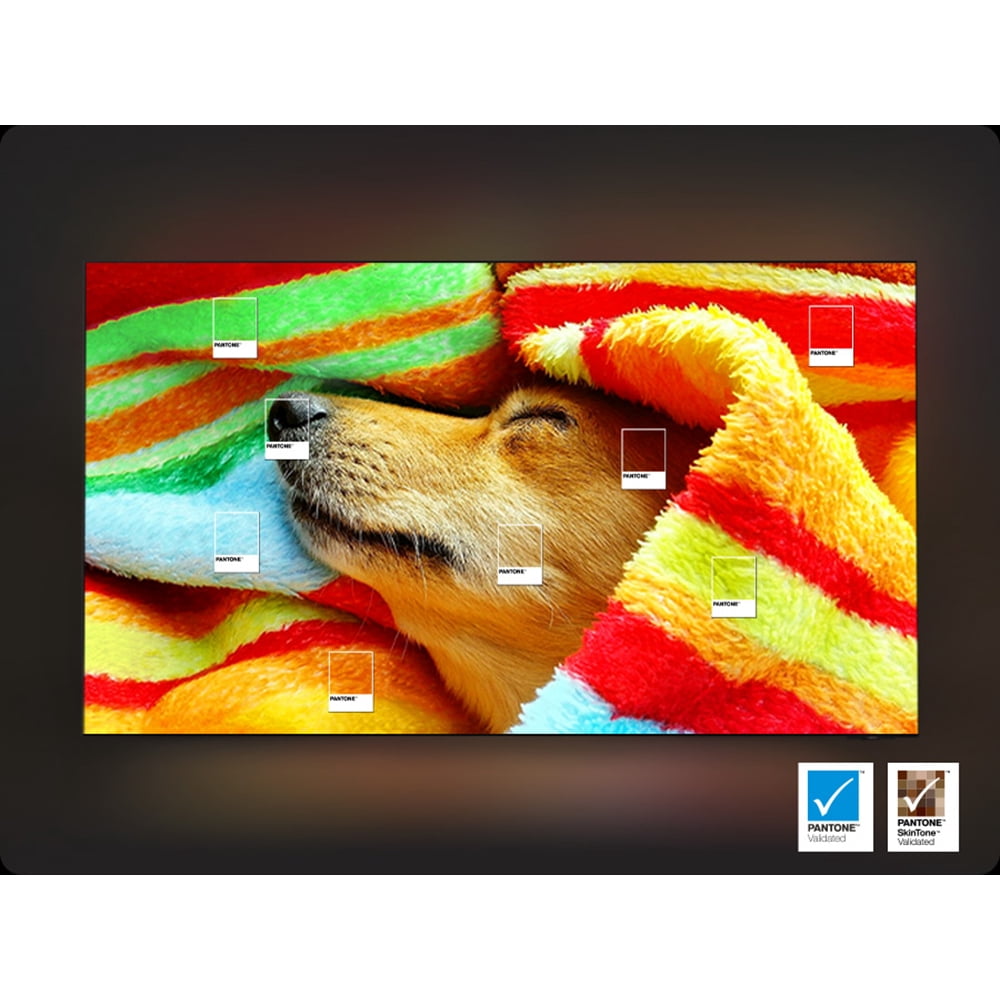 Samsung QN65S95FAFXZA 65 inch OLED 4K S95F Vision AI Smart TV 2025 Bundle with 6FT HDMI 2.0 Cable and CPS Exclusive 26 Month Protection Pack (BEACH-CPS-26M3500)