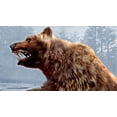 thumbnail image 4 of Videojuego ACTIVISION Cabela's Dangerous Hunts 2011 Paquete, 4 of 7