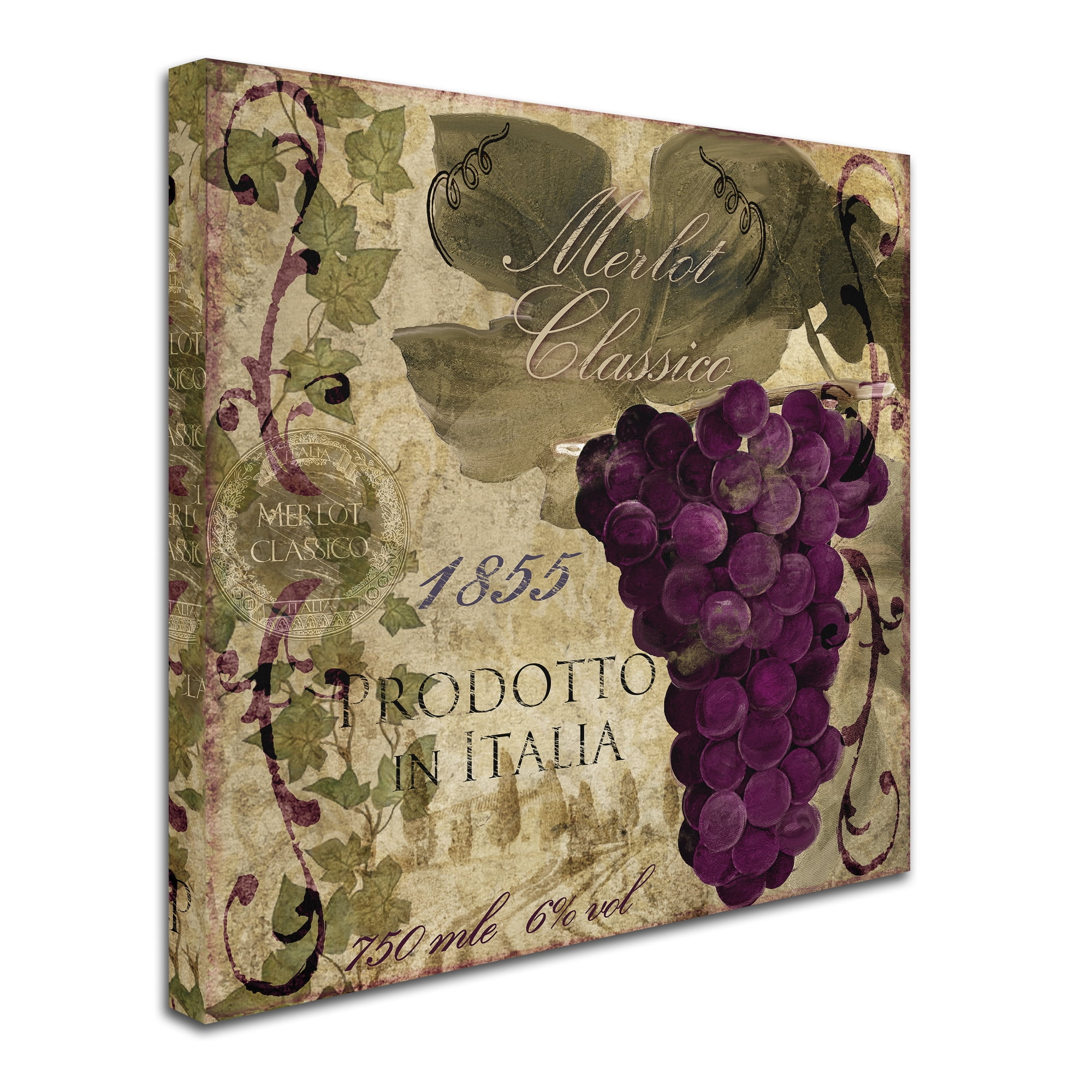Trademark Fine Art "Vino Italiano I" Canvas Art by Color Bakery