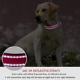 thumbnail image 4 of YSTINNG Reflective Dog Collar with Buckle Adjustable Safety Nylon Collars for Small Medium Large Dogs, Red M YD72-127, 4 of 7